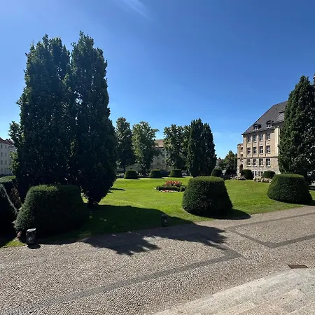 Apartment Zentrales Elbe Loft *